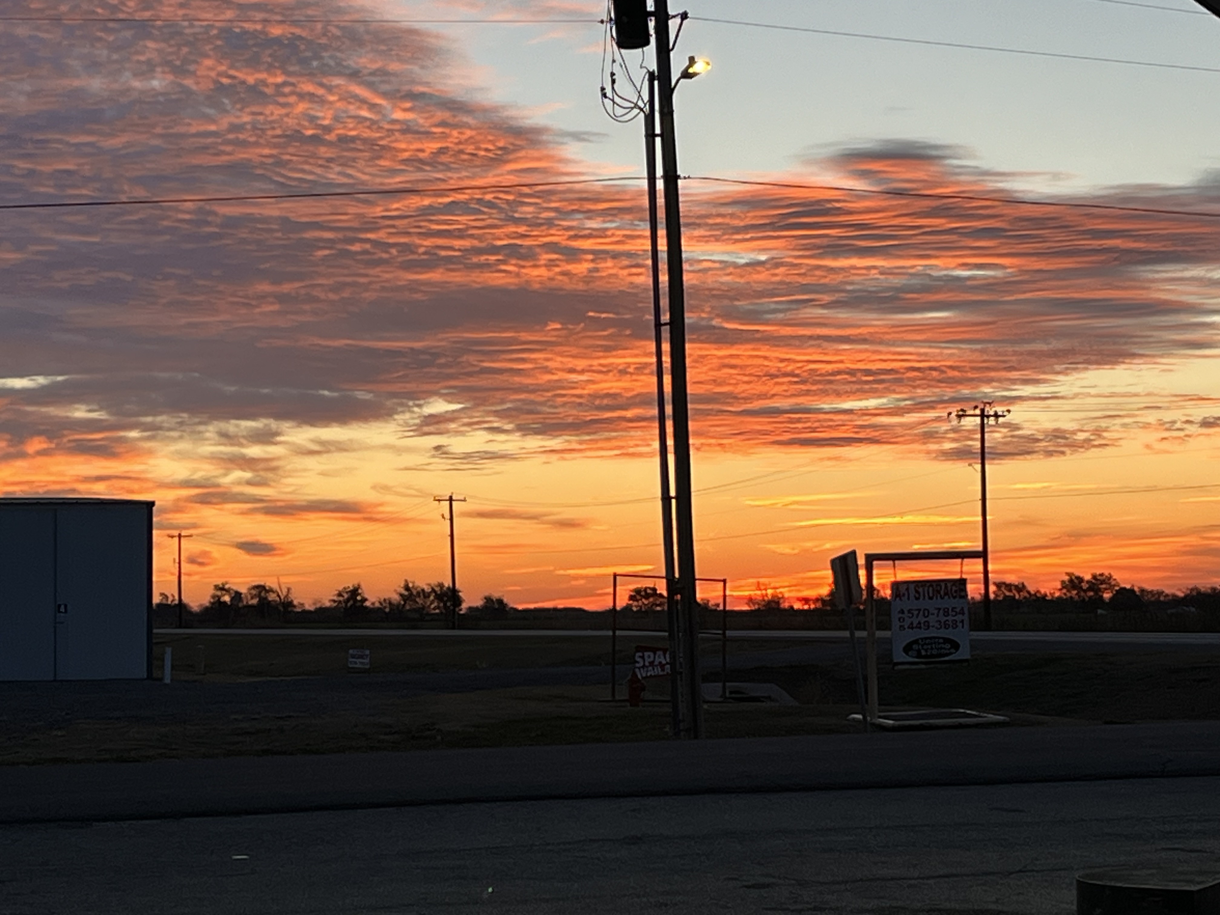 skidsteer clearing land behind shop