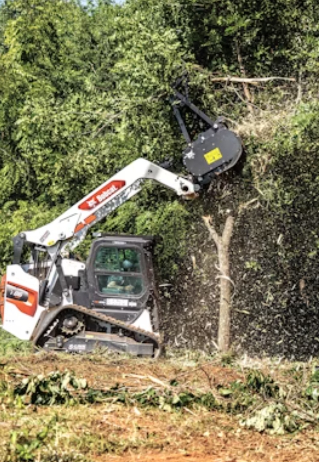 Featured wildflower lawn